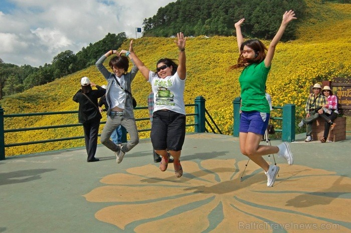 Taizeme ir skaista un neizprotama valsts ar savu kultūru, reliģiju un uzskatiem. Foto: www.pictures-thailand.com 82325