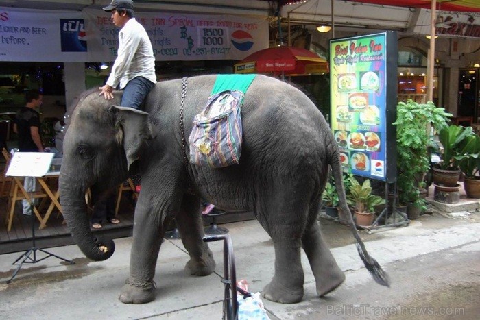 Taizeme ir skaista un neizprotama valsts ar savu kultūru, reliģiju un uzskatiem. Foto: www.pictures-thailand.com 82338