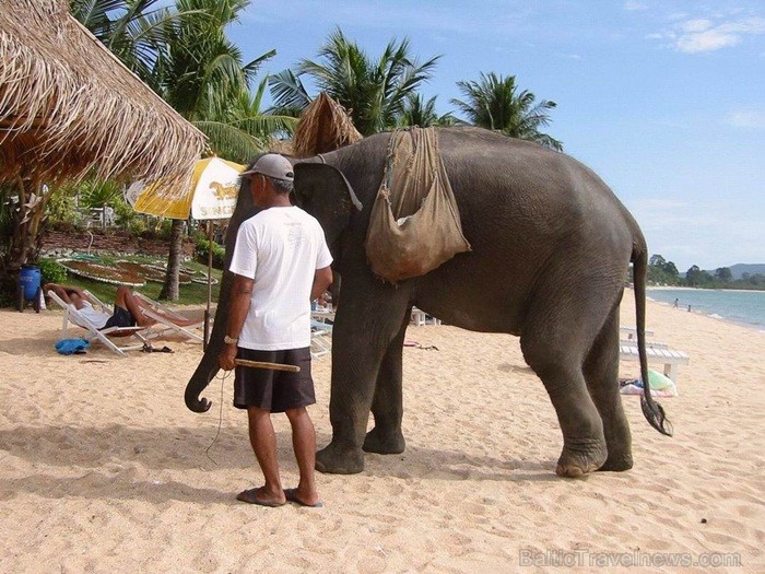 Taizeme ir skaista un neizprotama valsts ar savu kultūru, reliģiju un uzskatiem. Foto: www.pictures-thailand.com 82347