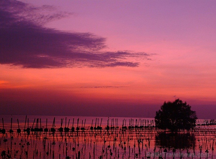 Eksotiskā Taizemes daba un fauna atklāj savu skaistuma virpuli. Foto: www.tourismthailand.org 83281
