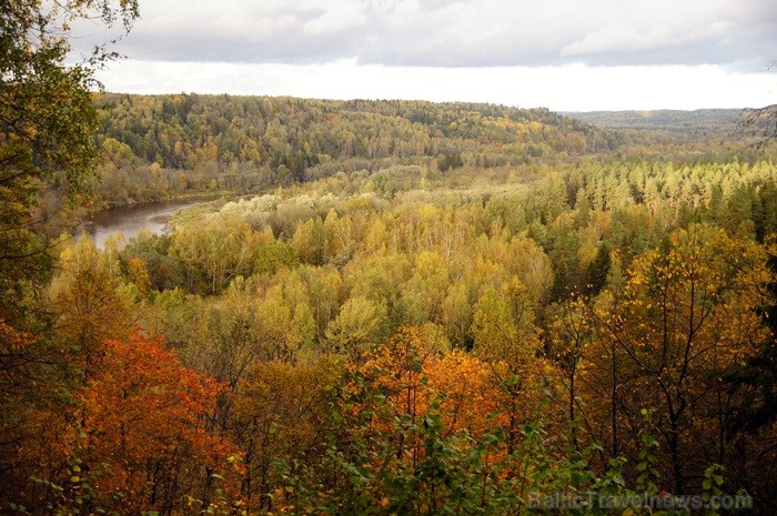 Sigulda joprojām ir nemainīga rudens klasika, par kuru interese nav mazinājusies. Foto: www.tourism.sigulda.lv Sigulda joprojām ir nemainīga rudens klasika, par kuru interese nav mazinājusies. Foto: www.tourism.sigulda.lv 83415