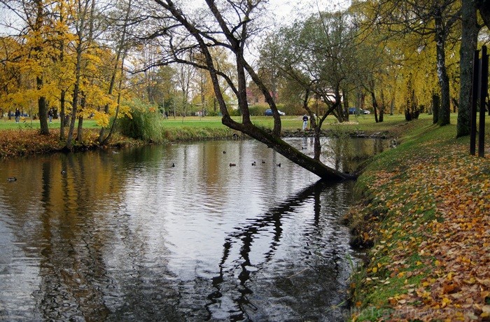Sigulda joprojām ir nemainīga rudens klasika, par kuru interese nav mazinājusies. Foto: www.tourism.sigulda.lv Sigulda joprojām ir nemainīga rudens klasika, par kuru interese nav mazinājusies. Foto: www.tourism.sigulda.lv 83428