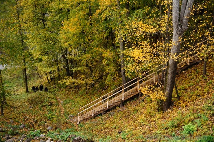 Sigulda joprojām ir nemainīga rudens klasika, par kuru interese nav mazinājusies. Foto: www.tourism.sigulda.lv Sigulda joprojām ir nemainīga rudens klasika, par kuru interese nav mazinājusies. Foto: www.tourism.sigulda.lv 83434