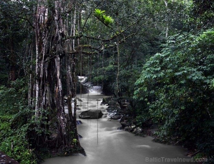 Santa Marta ir Dienvidamerikas senākā pilsēta ar apbrīnojumu mantojumu, skaistām pludmalēm un unikālām kalnu grēdām. Foto: www.colombia.travel 83626