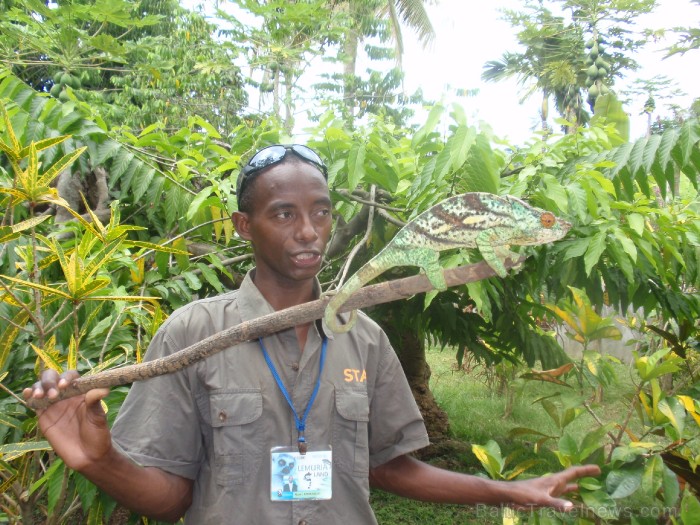 Madagaskaras sala Nosy Be jeb Lielā sala piedāvā tās viesiem plašu dabas un augu dažādību. Foto:  www.a-sono.lv 84093