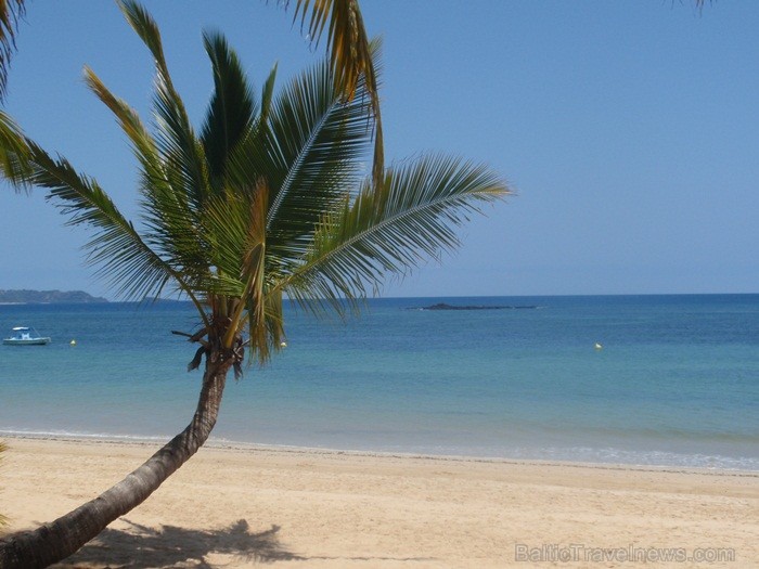 Madagaskaras sala Nosy Be jeb Lielā sala piedāvā tās viesiem plašu dabas un augu dažādību. Foto:  www.a-sono.lv 84101
