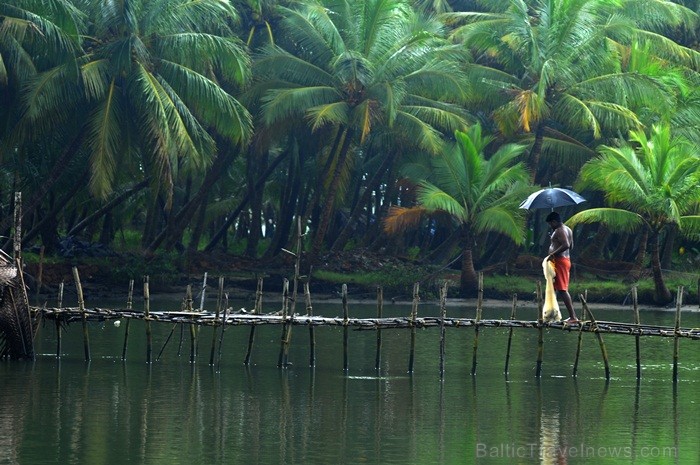 Kerala ir viens no Indijas štatiem, kas atrodas Indostānas pussalas dienvidos un Keralu sauc par Dievu, maģijas un garšvielu zemi. Foto:www.keralatour 84726