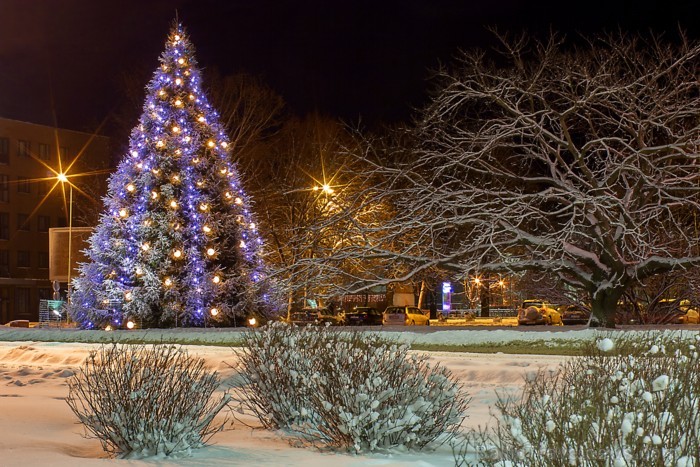 Liepāja šogad pārsteidz īpaši, pilsētā var atrast gan milzu piparkūkas un adventes vainagu, gan svētku tramvaju, kā arī iedzīvotāji un viesi tiek aici Liepāja šogad pārsteidz īpaši, pilsētā var atrast gan milzu piparkūkas un adventes vainagu, gan svētku tramvaju, kā arī iedzīvotāji un viesi tiek aici 86488
