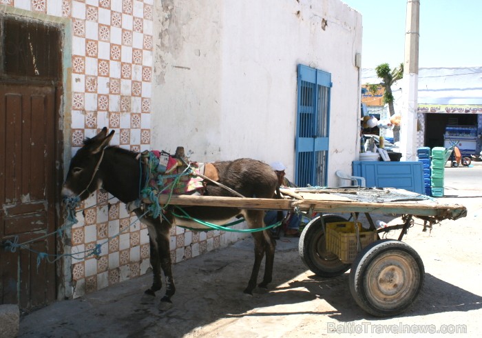 Medenina ir Tunisijas pilsēta, uz kuru ceļotāji dodas brīnumaino panorāmu meklējumos. Te var atrast berberu un romiešu kultūru pieminekļus. Šodien ied 90342