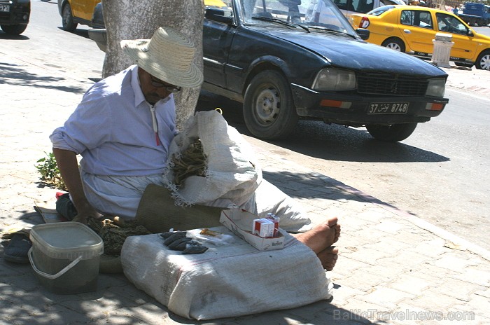 Medenina ir Tunisijas pilsēta, uz kuru ceļotāji dodas brīnumaino panorāmu meklējumos. Te var atrast berberu un romiešu kultūru pieminekļus. Šodien ied Medenina ir Tunisijas pilsēta, uz kuru ceļotāji dodas brīnumaino panorāmu meklējumos. Te var atrast berberu un romiešu kultūru pieminekļus. Šodien ied 90343