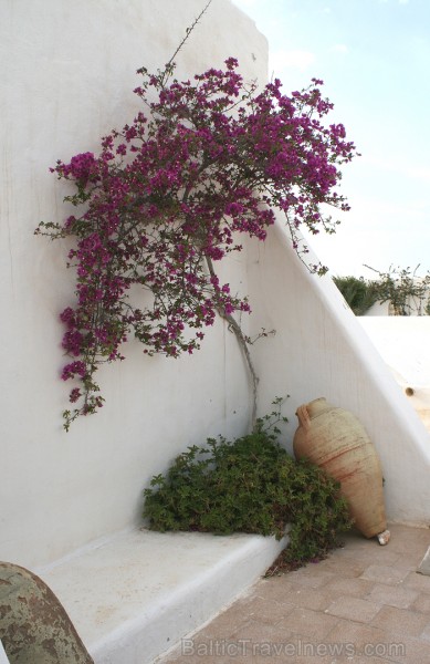 Guellala ciematā (Džerba, Tunisija) atrodas etnogrāfijas muzejs. Te var iepazīt Tunisijas tautas vēsturi: tradīcijas, paražas, kāzu rituālus, bērna pi 90444