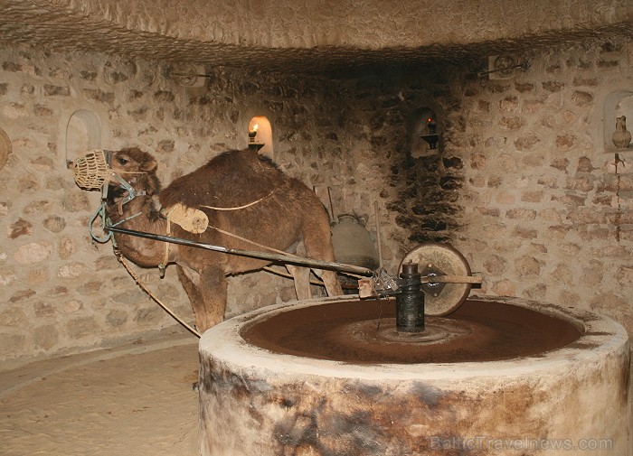 Guellala ciematā (Džerba, Tunisija) atrodas etnogrāfijas muzejs. Te var iepazīt Tunisijas tautas vēsturi: tradīcijas, paražas, kāzu rituālus, bērna pi 90453