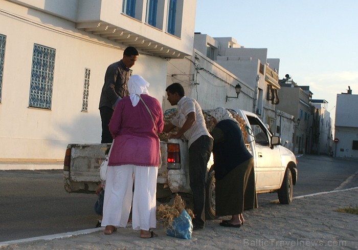Mahdija ir neliela Tunisijas pilsēta, kura atrodas valsts dienvidu piekraste. Mahdija ir klasisks Tunisijas kūrorts ar daudziem zivju restorāniem, bal Mahdija ir neliela Tunisijas pilsēta, kura atrodas valsts dienvidu piekraste. Mahdija ir klasisks Tunisijas kūrorts ar daudziem zivju restorāniem, bal 90540