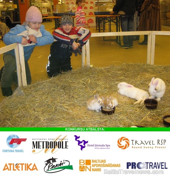 Autors: Tatjana I. Balso par šo bildi, spiežot Like pogu pie šīs bildes augšējā labā stūra. Konkursa noteikumi: šeit Autors: Tatjana I. Balso par šo bildi, spiežot Like pogu pie šīs bildes augšējā labā stūra. Konkursa noteikumi: šeit 91460