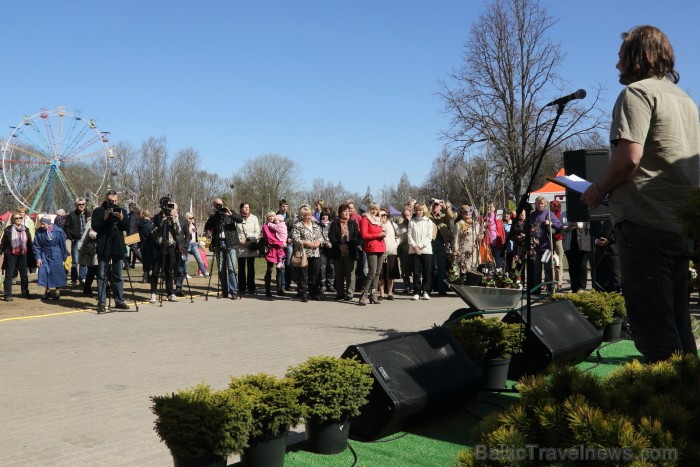 Siguldas Svētku laukumā 03. - 04.05.2013 norisinās 10. Stādu parāde, kas katru pavasari pulcina stādaudzētājus un dārzkopjus no visas Latvijas. Foto: Siguldas Svētku laukumā 03. - 04.05.2013 norisinās 10. Stādu parāde, kas katru pavasari pulcina stādaudzētājus un dārzkopjus no visas Latvijas. Foto: 93402