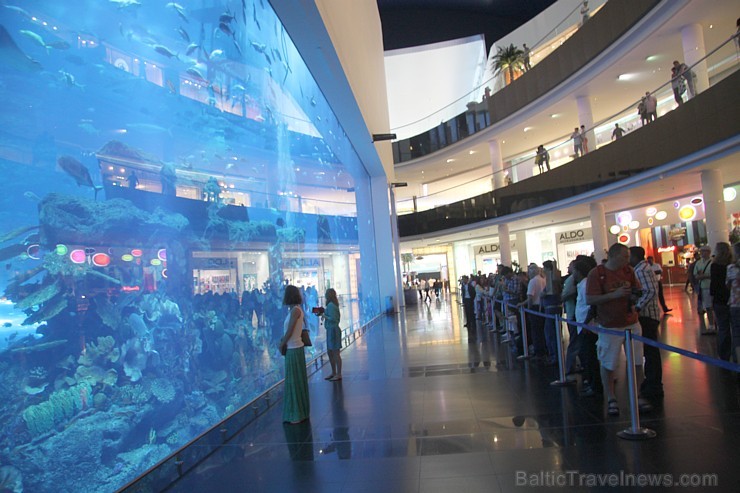 Dubaijas akvārijs atrodas pasaules lielākajā iepirkšanās centrā Dubai Mall - www.thedubaiaquarium.com Dubaijas akvārijs atrodas pasaules lielākajā iepirkšanās centrā Dubai Mall - www.thedubaiaquarium.com 95417