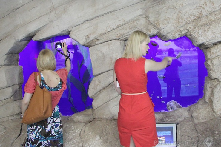 Travelnews.lv redakcija apmeklē pasaules lielāko iepirkšanās centru Dubai Mall, kur izvietojies milzīgs akvārijs. Foto sponsors: www.goadventure.lv Travelnews.lv redakcija apmeklē pasaules lielāko iepirkšanās centru Dubai Mall, kur izvietojies milzīgs akvārijs. Foto sponsors: www.goadventure.lv 95434