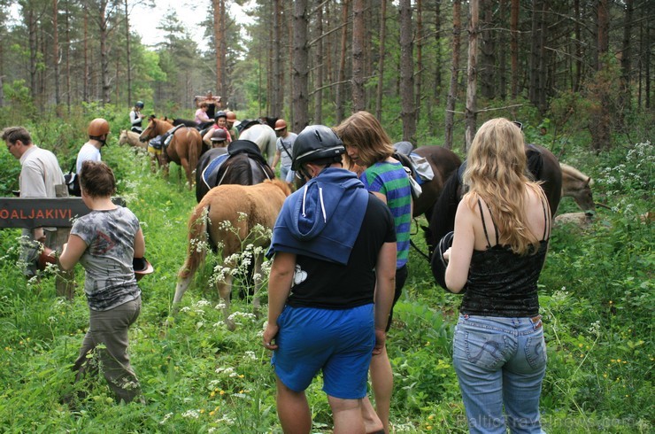 Travelnews.lv kopā ar citiem žurnālistiem un tūrisma profesionāļiem no Latvijas, Igaunijas un Zviedrijas dodas vairāku stundu izjādē ar zirgiem, apska Travelnews.lv kopā ar citiem žurnālistiem un tūrisma profesionāļiem no Latvijas, Igaunijas un Zviedrijas dodas vairāku stundu izjādē ar zirgiem, apska 96883