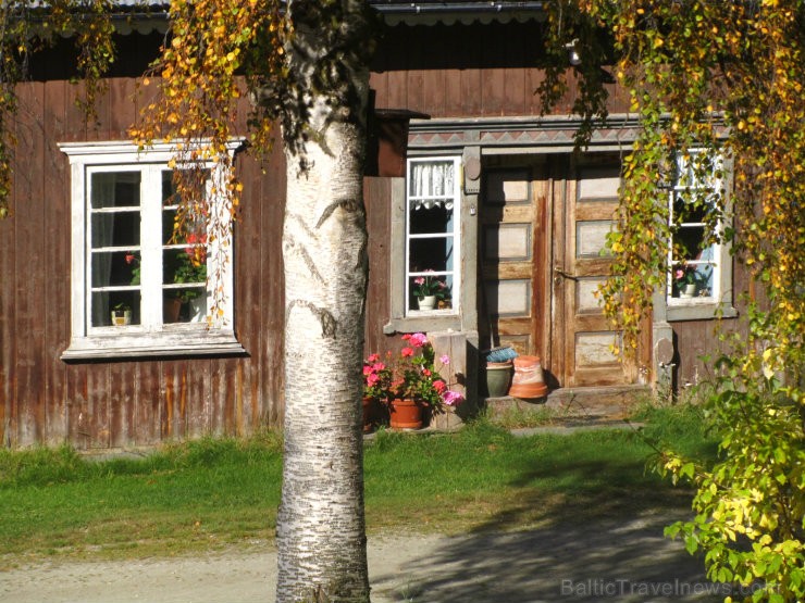 Rudens ienāk arī katrā pagalmā. 105482