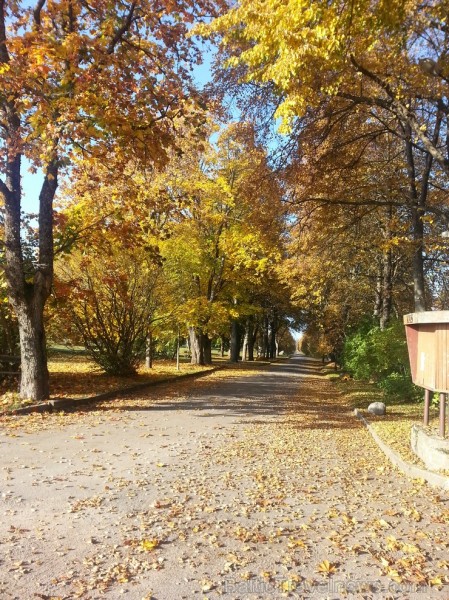 Ventspils TIC iesaka doties Zelta rudens ekskursijā par Ventspils novadu. Maršruts: Ventspils- Vārve- Zūras- Vendzavas- Zlēkas- Piltene- Landze- Vents Ventspils TIC iesaka doties Zelta rudens ekskursijā par Ventspils novadu. Maršruts: Ventspils- Vārve- Zūras- Vendzavas- Zlēkas- Piltene- Landze- Vents 107578