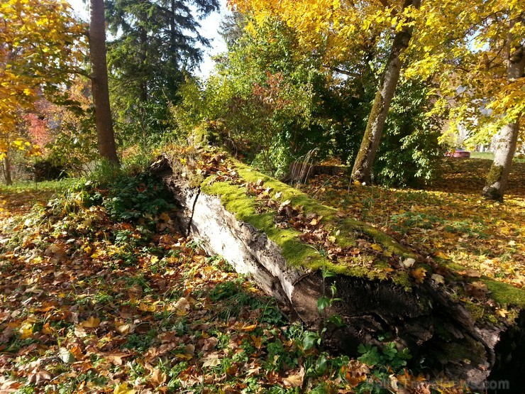Ventspils TIC iesaka doties Zelta rudens ekskursijā par Ventspils novadu. Maršruts: Ventspils- Vārve- Zūras- Vendzavas- Zlēkas- Piltene- Landze- Vents Ventspils TIC iesaka doties Zelta rudens ekskursijā par Ventspils novadu. Maršruts: Ventspils- Vārve- Zūras- Vendzavas- Zlēkas- Piltene- Landze- Vents 107588