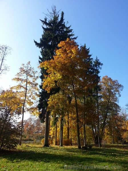 Ventspils TIC iesaka doties Zelta rudens ekskursijā par Ventspils novadu. Maršruts: Ventspils- Vārve- Zūras- Vendzavas- Zlēkas- Piltene- Landze- Vents Ventspils TIC iesaka doties Zelta rudens ekskursijā par Ventspils novadu. Maršruts: Ventspils- Vārve- Zūras- Vendzavas- Zlēkas- Piltene- Landze- Vents 107591