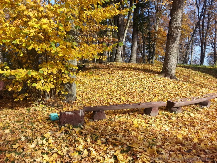 Ventspils TIC iesaka doties Zelta rudens ekskursijā par Ventspils novadu. Maršruts: Ventspils- Vārve- Zūras- Vendzavas- Zlēkas- Piltene- Landze- Vents Ventspils TIC iesaka doties Zelta rudens ekskursijā par Ventspils novadu. Maršruts: Ventspils- Vārve- Zūras- Vendzavas- Zlēkas- Piltene- Landze- Vents 107594