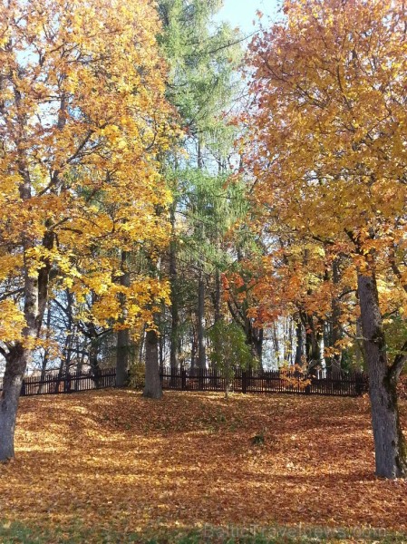 Ventspils TIC iesaka doties Zelta rudens ekskursijā par Ventspils novadu. Maršruts: Ventspils- Vārve- Zūras- Vendzavas- Zlēkas- Piltene- Landze- Vents Ventspils TIC iesaka doties Zelta rudens ekskursijā par Ventspils novadu. Maršruts: Ventspils- Vārve- Zūras- Vendzavas- Zlēkas- Piltene- Landze- Vents 107597