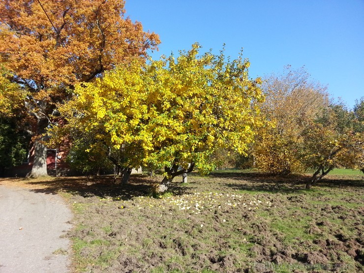 Ventspils TIC iesaka doties Zelta rudens ekskursijā par Ventspils novadu. Maršruts: Ventspils- Vārve- Zūras- Vendzavas- Zlēkas- Piltene- Landze- Vents Ventspils TIC iesaka doties Zelta rudens ekskursijā par Ventspils novadu. Maršruts: Ventspils- Vārve- Zūras- Vendzavas- Zlēkas- Piltene- Landze- Vents 107600