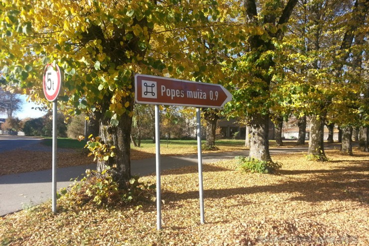 Popes septiņas zelta alejas Popē rudeni īpaši krāšņu dara tās septiņas liepu alejas un dižkoki muižas parkā, ko vērts apskatīt Popes septiņas zelta alejas Popē rudeni īpaši krāšņu dara tās septiņas liepu alejas un dižkoki muižas parkā, ko vērts apskatīt 107677