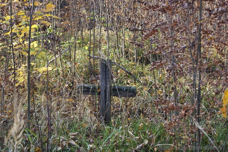 Kankaļu Svētā Jāņa Kristītāja Romas katoļu baznīca ir Eiropas nozīmes koka arhitektūras piemineklis. Tā atrodas Neretas novada Mazzalves pagastā Kankaļu Svētā Jāņa Kristītāja Romas katoļu baznīca ir Eiropas nozīmes koka arhitektūras piemineklis. Tā atrodas Neretas novada Mazzalves pagastā 107723