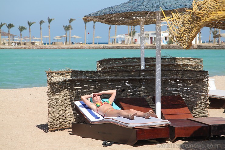 Travelnews.lv iepazīst Hurgadas viesnīcu Festival Shedwan Golden Beach Resort, ko piedāvā starptautiskais tūroperators GoAdventure Travelnews.lv iepazīst Hurgadas viesnīcu Festival Shedwan Golden Beach Resort, ko piedāvā starptautiskais tūroperators GoAdventure 108507