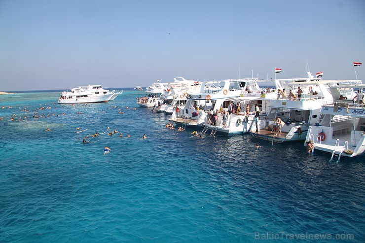Snorkelēšana Sarkanajā jūrā ir gandrīz kā pienākums katram tūristam - vairāk informācijas par ceļojumiem uz Ēģipti skatiet pie GoAdventure Snorkelēšana Sarkanajā jūrā ir gandrīz kā pienākums katram tūristam - vairāk informācijas par ceļojumiem uz Ēģipti skatiet pie GoAdventure 109023