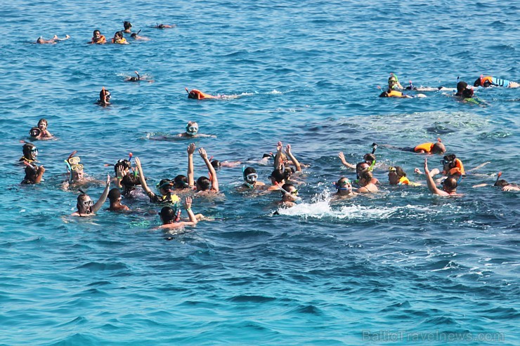 Snorkelēšana Sarkanajā jūrā ir gandrīz kā pienākums katram tūristam - vairāk informācijas par ceļojumiem uz Ēģipti skatiet pie GoAdventure Snorkelēšana Sarkanajā jūrā ir gandrīz kā pienākums katram tūristam - vairāk informācijas par ceļojumiem uz Ēģipti skatiet pie GoAdventure 109024