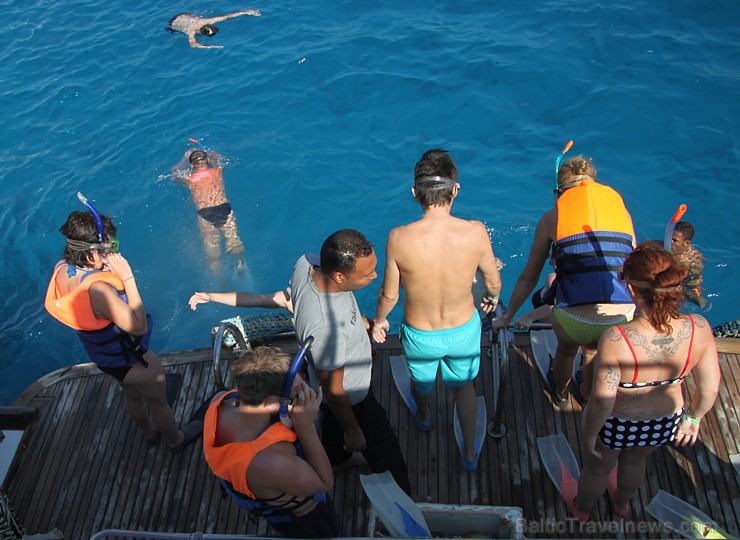 Snorkelēšana Sarkanajā jūrā ir gandrīz kā pienākums katram tūristam - vairāk informācijas par ceļojumiem uz Ēģipti skatiet pie GoAdventure Snorkelēšana Sarkanajā jūrā ir gandrīz kā pienākums katram tūristam - vairāk informācijas par ceļojumiem uz Ēģipti skatiet pie GoAdventure 109028