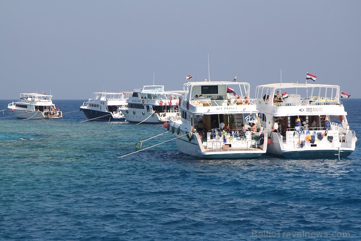 Snorkelēšana Sarkanajā jūrā ir gandrīz kā pienākums katram tūristam - vairāk informācijas par ceļojumiem uz Ēģipti skatiet pie GoAdventure Snorkelēšana Sarkanajā jūrā ir gandrīz kā pienākums katram tūristam - vairāk informācijas par ceļojumiem uz Ēģipti skatiet pie GoAdventure 109041