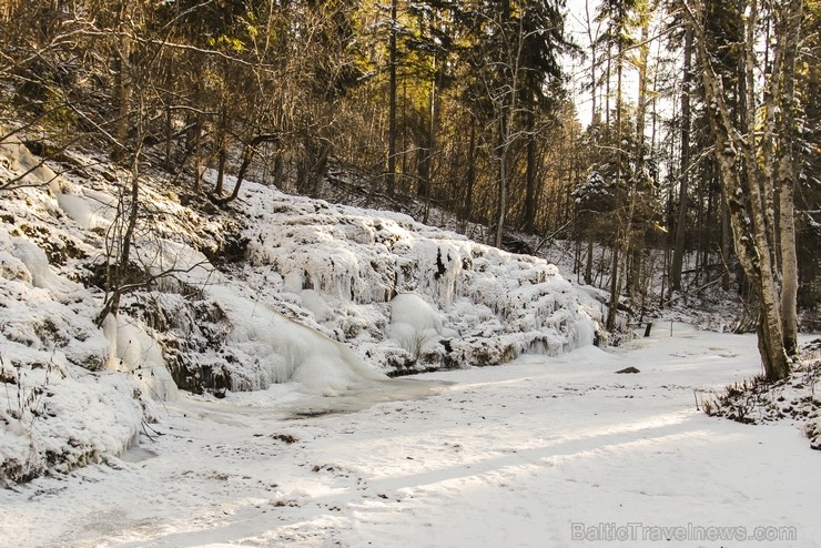 Raunas staburags ir aptuveni 3,5 m augsts un 17 m garš šūnakmens veidojums un tas ir vienīgais šāda veida dabas objekts Latvijā pēc Daugavas Staburaga Raunas staburags ir aptuveni 3,5 m augsts un 17 m garš šūnakmens veidojums un tas ir vienīgais šāda veida dabas objekts Latvijā pēc Daugavas Staburaga 113707