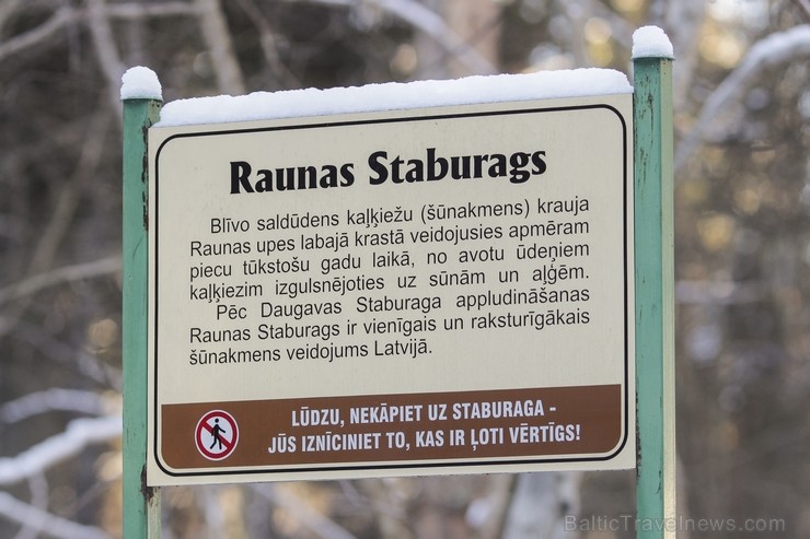Raunas staburags ir aptuveni 3,5 m augsts un 17 m garš šūnakmens veidojums un tas ir vienīgais šāda veida dabas objekts Latvijā pēc Daugavas Staburaga Raunas staburags ir aptuveni 3,5 m augsts un 17 m garš šūnakmens veidojums un tas ir vienīgais šāda veida dabas objekts Latvijā pēc Daugavas Staburaga 113712
