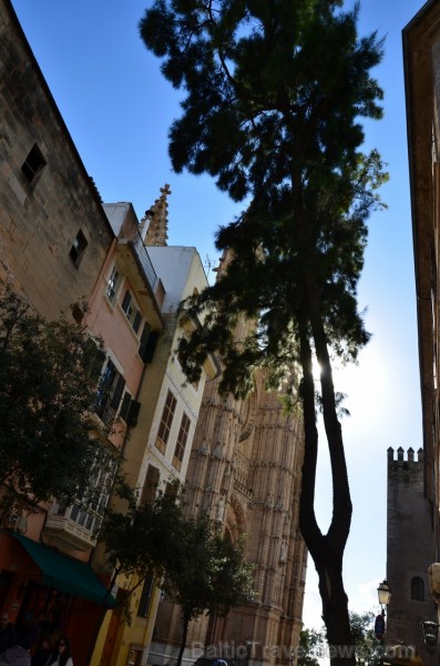 Palma de Maljorka- viena no Vidusjūras pērlēm, tās robežās sadzīvo Romas perioda arhitektūras pieminekļi, viduslaiku namiņu kvartāli ar bruģētām ielām Palma de Maljorka- viena no Vidusjūras pērlēm, tās robežās sadzīvo Romas perioda arhitektūras pieminekļi, viduslaiku namiņu kvartāli ar bruģētām ielām 115151