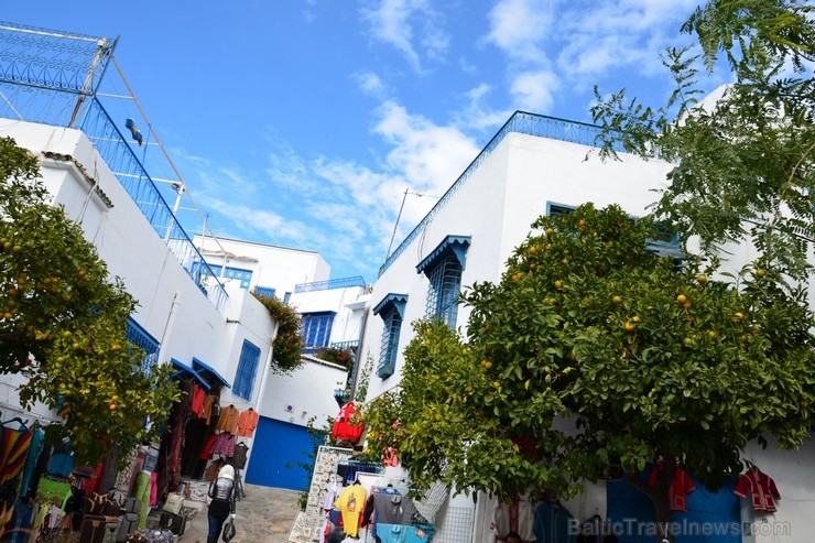 Sidi Bou Said - gleznainais andalūziešu ciematiņš ar baltajām sienām, ar kurām kontrastē debeszilās durvis un gleznie logu rāmji. Vairāk informācijas Sidi Bou Said - gleznainais andalūziešu ciematiņš ar baltajām sienām, ar kurām kontrastē debeszilās durvis un gleznie logu rāmji. Vairāk informācijas 115176