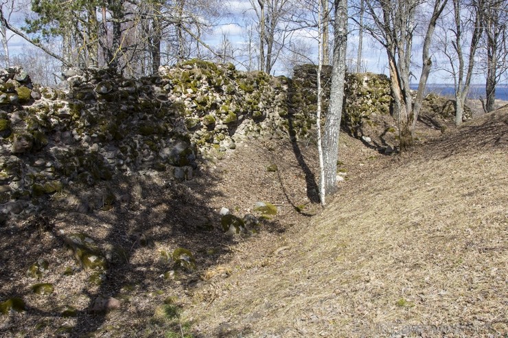 Viduslaikos Mākoņkalnā atradās Volkenbergas pils, kuras drupas vēl saglabājušās. Tas bija vissenākais krustnešu cietoksnis Lotigolas zemē, kuru Livoni Viduslaikos Mākoņkalnā atradās Volkenbergas pils, kuras drupas vēl saglabājušās. Tas bija vissenākais krustnešu cietoksnis Lotigolas zemē, kuru Livoni 118489