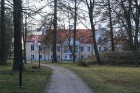 30
