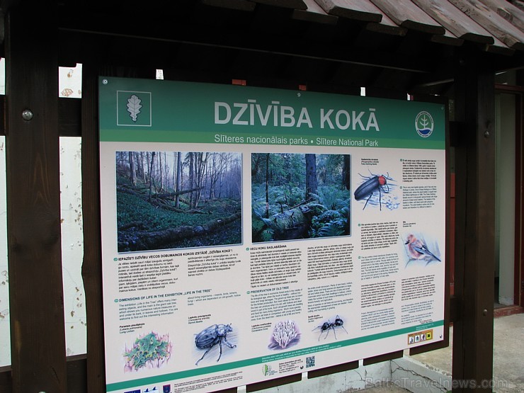 31. maijā un 1. jūnijā notiks «Slīteres ceļotāju dienas 2014», piedāvājot dažādus interesantus maršrutus. Pasākuma programma ir pieejama šeit 31. maijā un 1. jūnijā notiks «Slīteres ceļotāju dienas 2014», piedāvājot dažādus interesantus maršrutus. Pasākuma programma ir pieejama šeit 122190