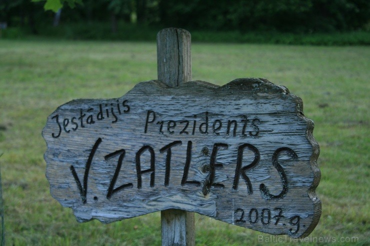 Ozolu pie Staburaga piemiņas vietas 2007. gadā ir iestādījis bijušais Latvijas valsts prezidents Valdis Zatlers Ozolu pie Staburaga piemiņas vietas 2007. gadā ir iestādījis bijušais Latvijas valsts prezidents Valdis Zatlers 126826
