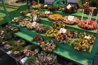 Rīgas Centrāltirgū pieejama plaša adventes vainagu izvēle 5