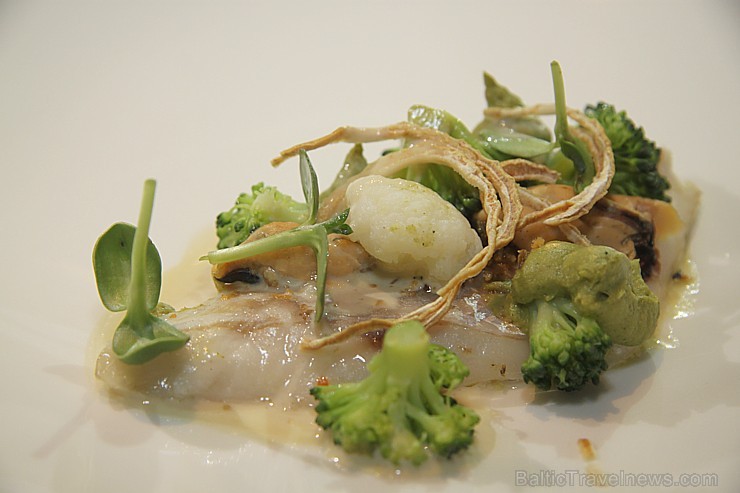 «Melnā bite» piedāvāja 18/19.03.2015 vakariņas ar Michelin zvaigznes pavāru Alfredo Russo no Itālijas - apsvilināts jūras asaris ar brokoļu biezeni u «Melnā bite» piedāvāja 18/19.03.2015 vakariņas ar Michelin zvaigznes pavāru Alfredo Russo no Itālijas - apsvilināts jūras asaris ar brokoļu biezeni u 145324