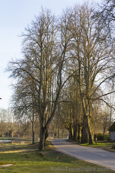 Pie pils 19. gadsimta otrajā pusē grāfs Lambsdorfs ierīkoja parku, kas centrālā daļā ir regulāra plānojuma, tālāk – ainavu parks ar dīķiem Pie pils 19. gadsimta otrajā pusē grāfs Lambsdorfs ierīkoja parku, kas centrālā daļā ir regulāra plānojuma, tālāk – ainavu parks ar dīķiem 146803