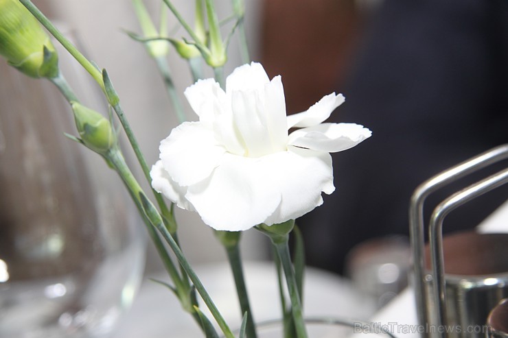 Travelnews.lv 20.04.2015 apciemo Rīgas restorānu «Elefant». Vairāk informācijas - www.wellton.com/lv/our-restaurants/restaurant-elefant Travelnews.lv 20.04.2015 apciemo Rīgas restorānu «Elefant». Vairāk informācijas - www.wellton.com/lv/our-restaurants/restaurant-elefant 147219