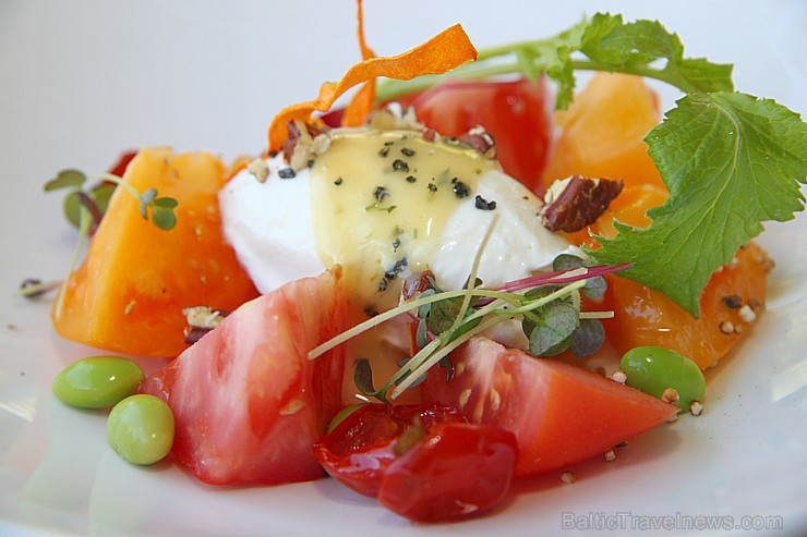 Restorāns «Kolonāde»: kazas siers ar krāsainajiem tomātiem, biešu carpaccio, riekstiem un medus mērci Restorāns «Kolonāde»: kazas siers ar krāsainajiem tomātiem, biešu carpaccio, riekstiem un medus mērci 148531