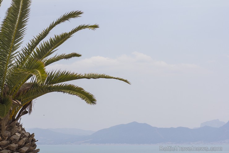 Travelnews.lv redakcija apskata populāro Sidi Bou Said pilsētu Tunisijā 150652